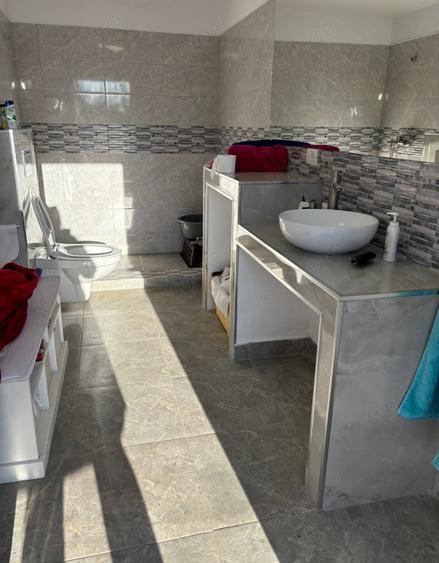 vand teren dumbravita 79000 euro - 1