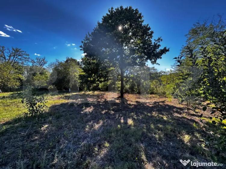 Doua casa de vanzare, teren intravilan 1773 mp, zona Stoloja - 6
