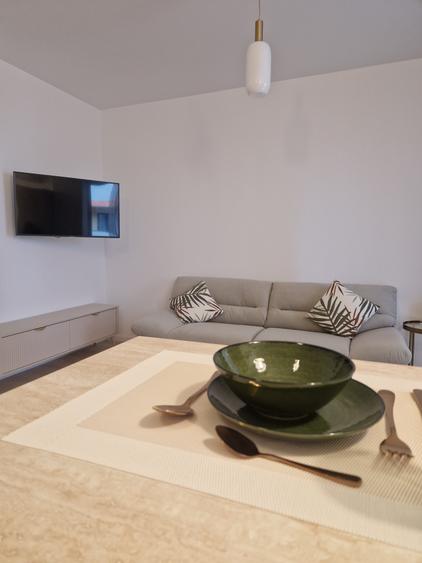 La prima închiriere-Aradului bloc 2025, se accepta animal de talie mica - 13