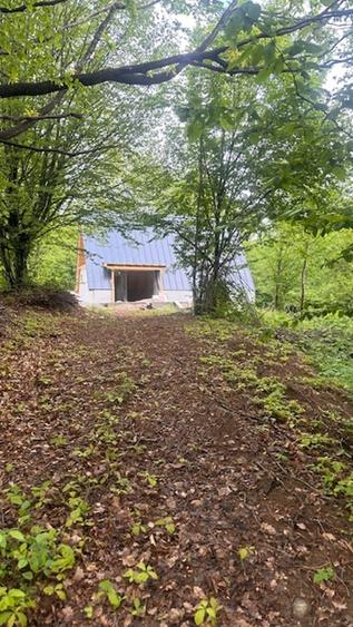 CHIUZBAIA 2CABANE cu teren de aprox. 70ari ! - 5