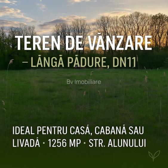 Teren ideal pentru casa de vacanta sau locuinta permanenta, la marginea padurii Teren ideal pentru casa de vacanta sau locuinta permanenta, la marginea padurii