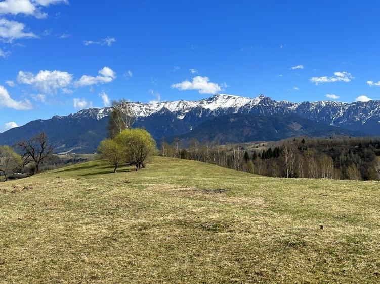 Teren 1550 mp, sat Pestera, zona Bran-Moieciu, jud. Brasov - 1