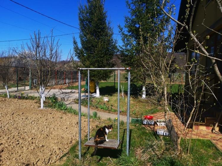 Casa vacanta, Budeasa, teren 652 mp, mobilata - 2