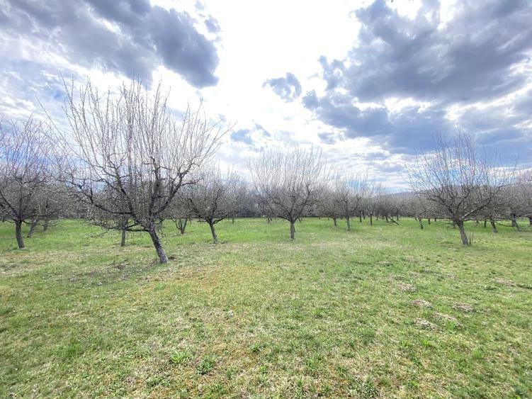 Berevoesti, Arges - 17