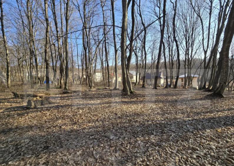 Teren cu sufrafata de 3000 mp in Padurea Faget - 1
