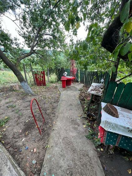 Vand Casa in sat Plopi com. Bunesti-Averesti - 3