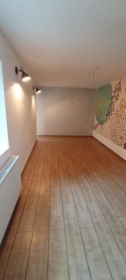 Casa pentru birouri singura curte zona Floreasca-Parc - 13