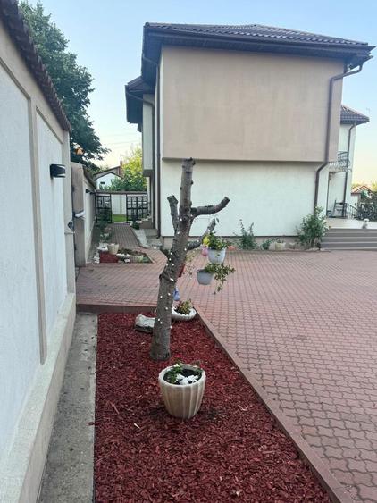 Casa Lapus Arges Rovine - 3