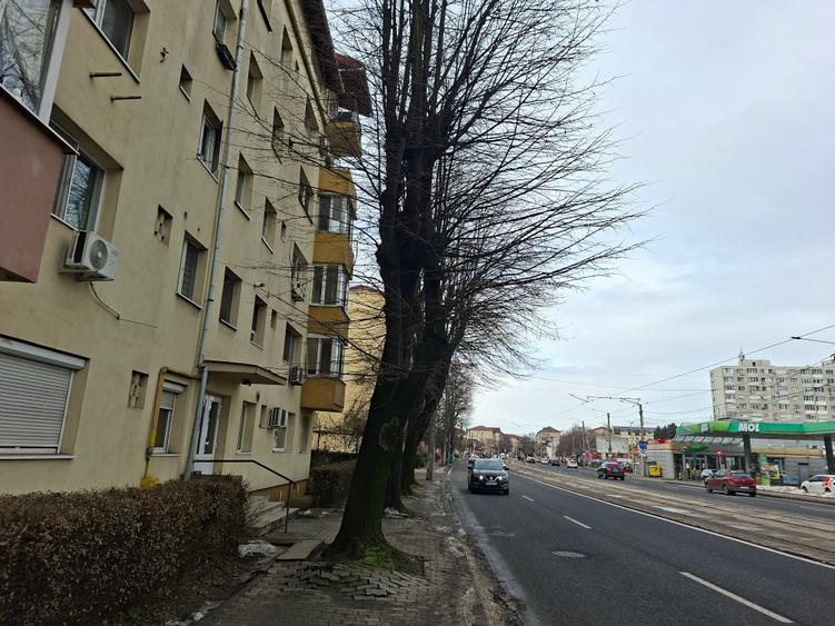 Calea Sagului,  mobilat si utilat, perfect pentru investitie - 10