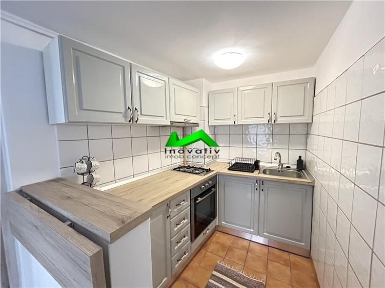 Studio modern de inchiriat curte Sibiu Ultracentral - 4