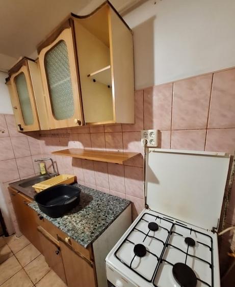 Apartament cu 2 camere - zona Nicolina - Lidl - Pet Friendly - 9