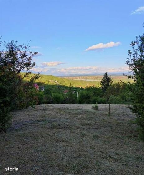 Teren Intravilan Podgoria - 4