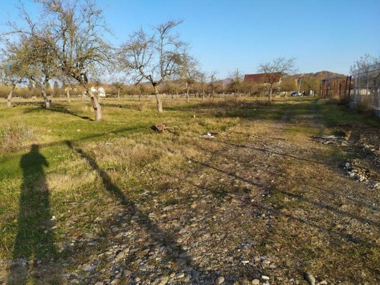 Teren intravilan DE VÂNZARE, NEGOCIABIL , Campina (jud Prahova), cartier Voila  - 6