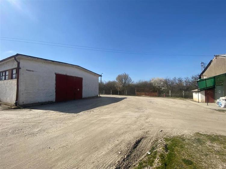 RECO hale cu teren generos Salonta - 9