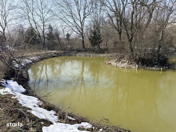 Teren intravilan cu lac 3900mp Cocorasti Colt Prahova - 7