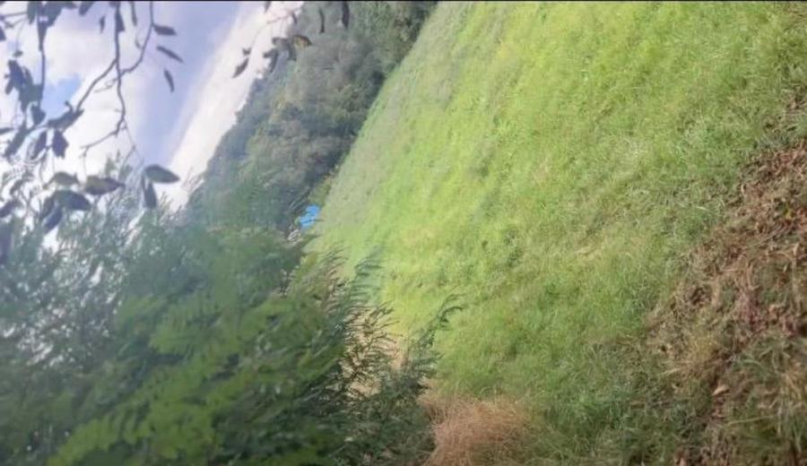 Teren intravilan de vânzare – Str. Ghinzii, Bistrița - 3