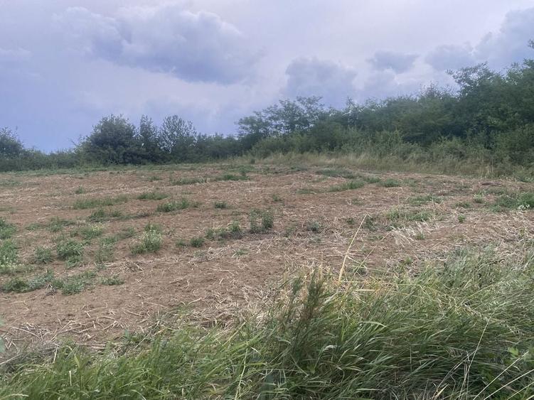 Teren watman 1500 m2 - 5