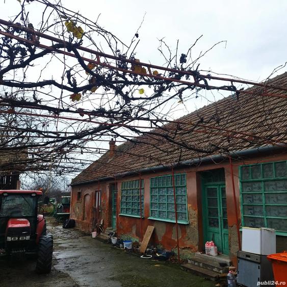 Casa de vanzare - 3