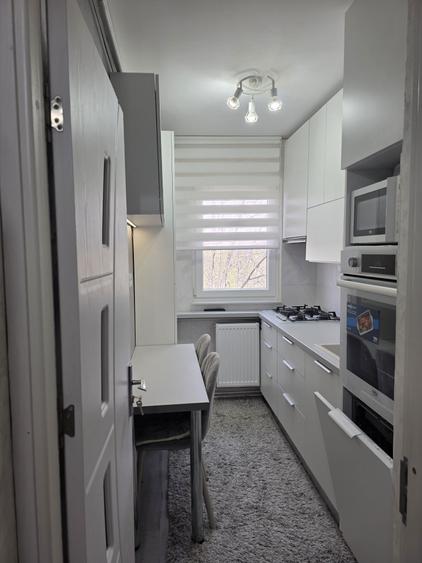 Apartament 3 camere Malu Rosu - 2