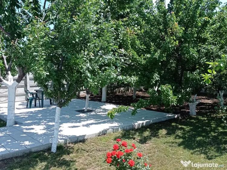 Vand casa in Corbu, jud. Constanta - 14