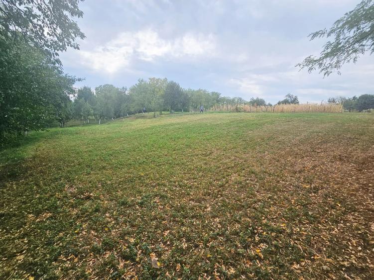 Teren intravilan, cu priveliște– Vălenii de Munte - 4