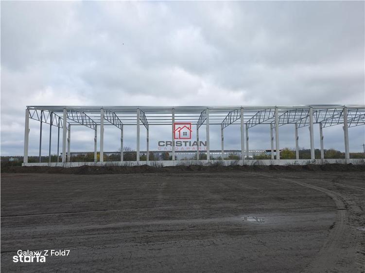 Vanzare depozithalaspatiu industrial Mogosoaia - Buftea - 7