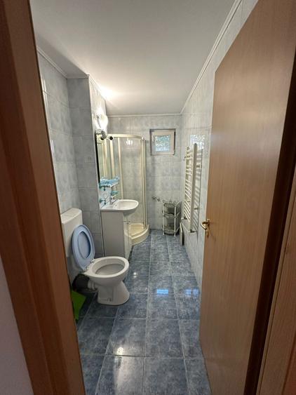 Spatiu comercial / Apartament cu acces din strada de inchiriat - 7