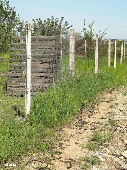Vanzare teren 4000 mp Ulmi- Dambovita - 3