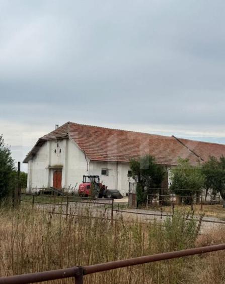 Ferma de Vanzare in judetul Timis, la nord est de Timisoara, - 6
