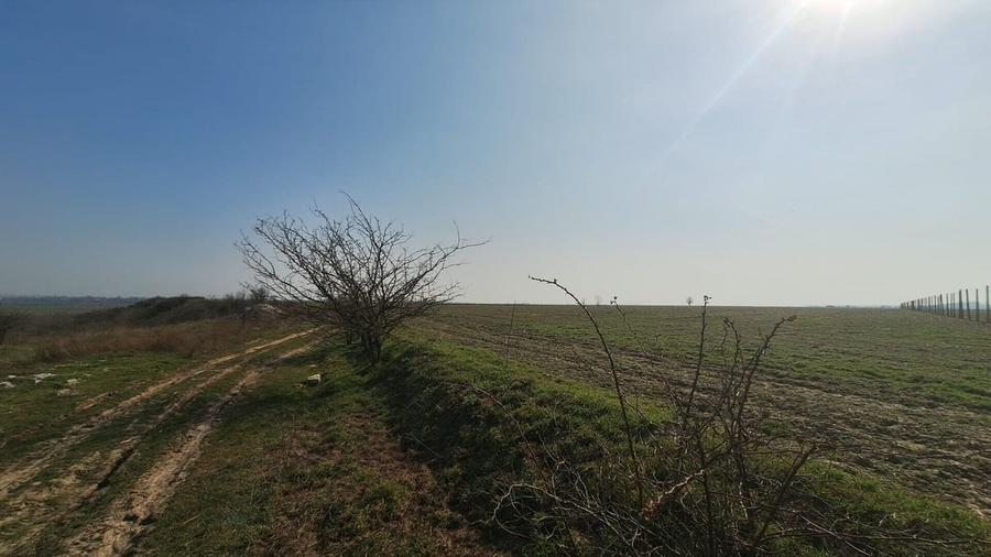 Balaceanca Teren intravilan - 3