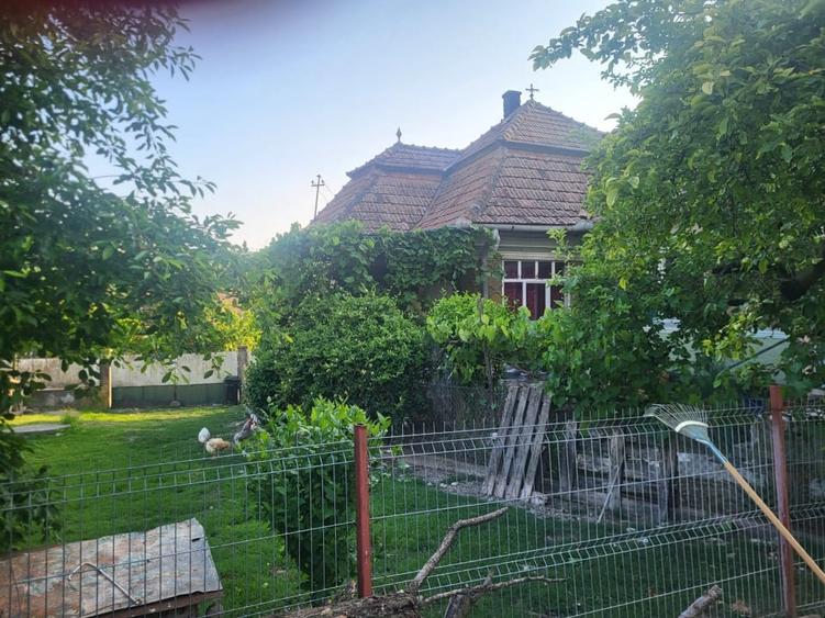 Vanzare casa sat Asinip, comuna Lopadea Noua, jud Alba, la 15km de Aiud - 7