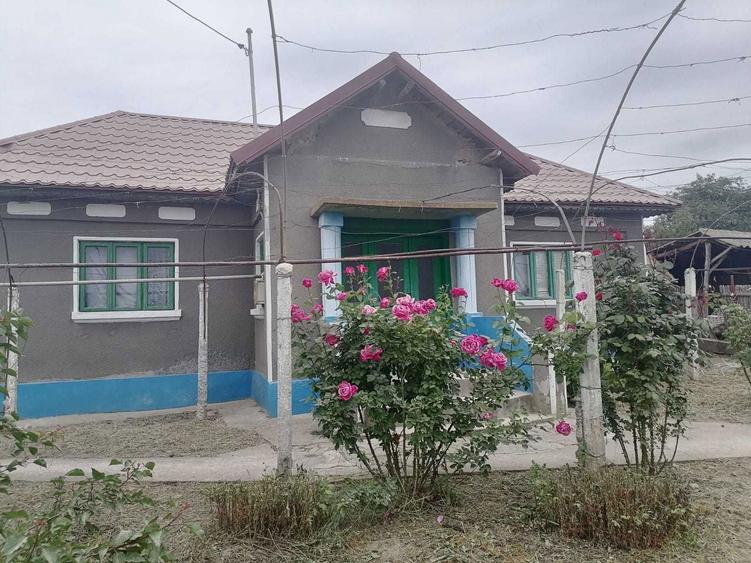 Casa in satul Zebil cu vedere superba spre lacul Babadag - 8