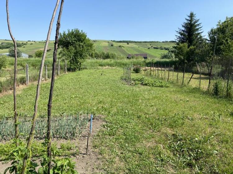 Casă de vânzare in Agnita cu căsută de vară si gradină - 10