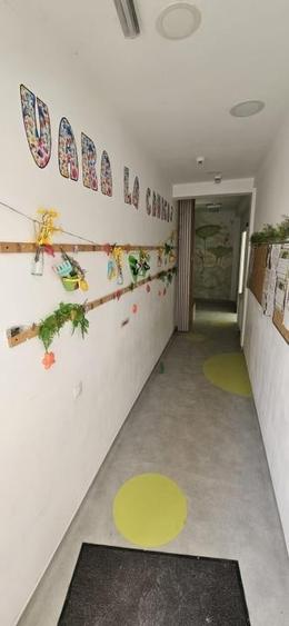 Gradinita/scoala, 480 mp utili, teren 1365 mp, zona Corneliu Coposu - 9