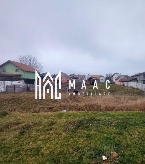 Teren | Intravilan 843 MPU | Sura Mica - 2