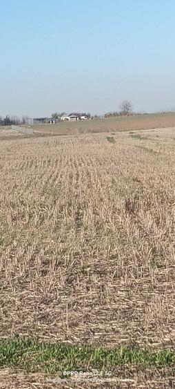 De vanzare loturi de teren intravilan in Singureni, Giurgiu - 2