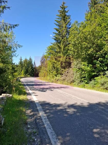 Teren de vanzare in zona Cota 1000 Sinaia - 5
