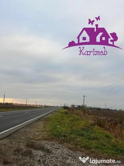 Teren de 5620 mp, în Nojorid