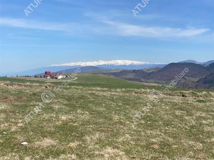 Teren Construcții intravilan de 3000 mp, în Păltiniș