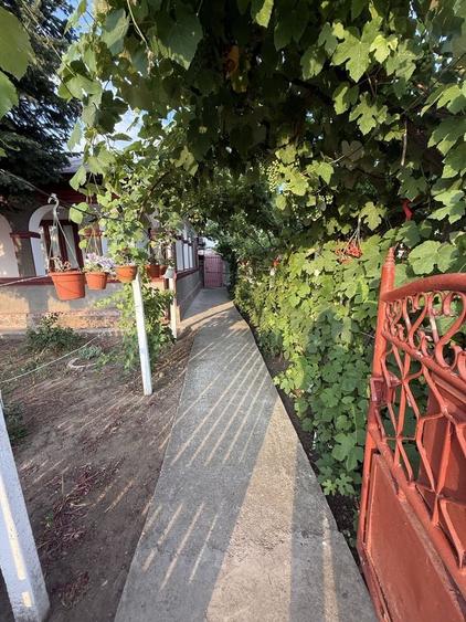 Casă cu 4 camere în Bărăganul