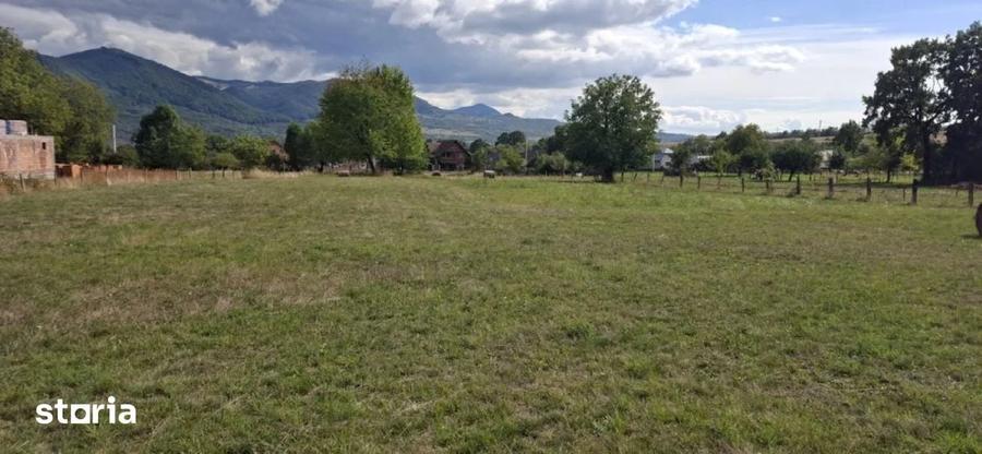 Teren de vanzare intravilan Bistra Muresului 4915 mp - 4