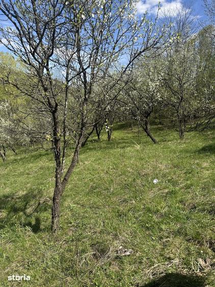 Spațiu comercial, de 2,035 mp, în Provița de Jos