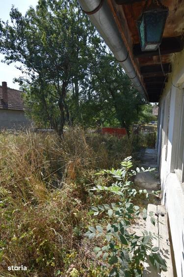 Casă cu 3 camere cu Teren 1500 Mp în Sava