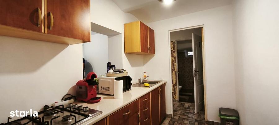 Apartament zona centrala, 60 mp utili + 425 mp cota teren - 9