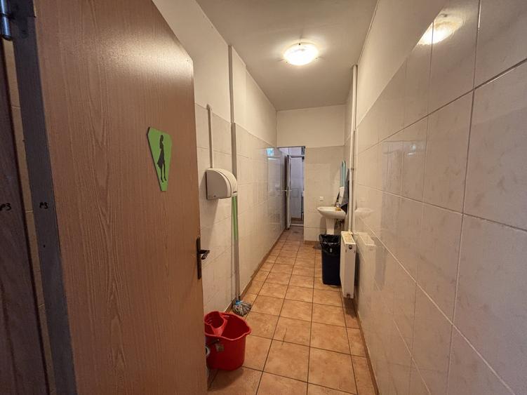 Birou, de 54.599998474121 mp, în Costin Georgian