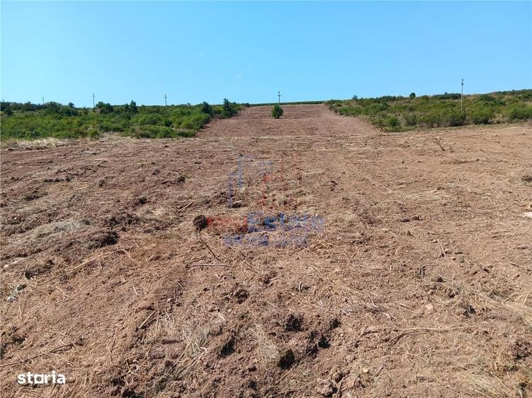 Ocazie! Sorogari TEREN 10000mp intravilan PUZ realizat si toate utili - 6