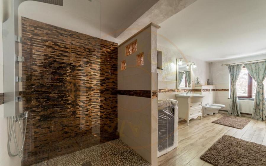 Casa primitoare de inchiriat in Valea Ursului-spa?iu, natu - 13