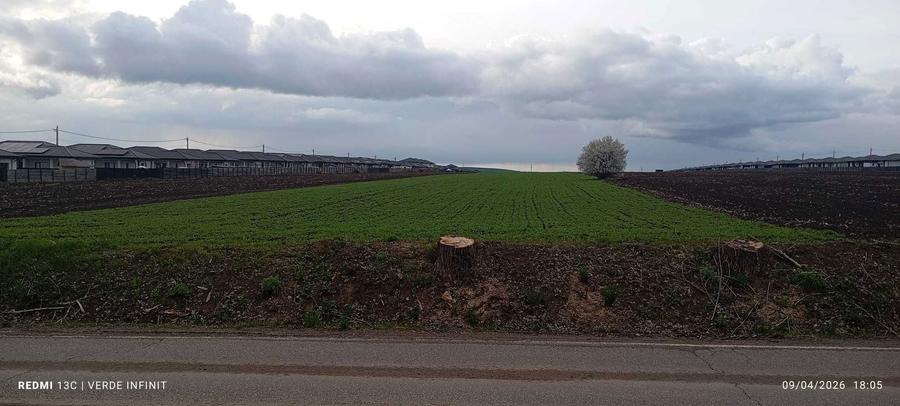 Teren Intravilan, Vorovesti 1 ha - 5