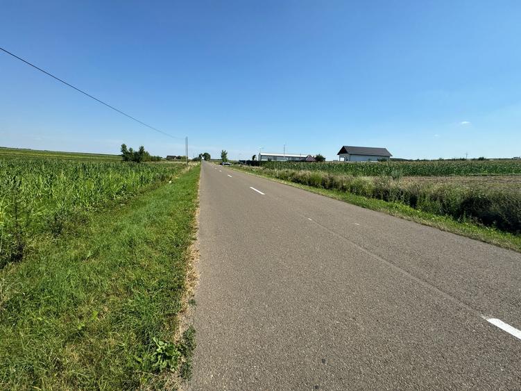 Teren intravilan+extravilan la strada asfaltata - 1