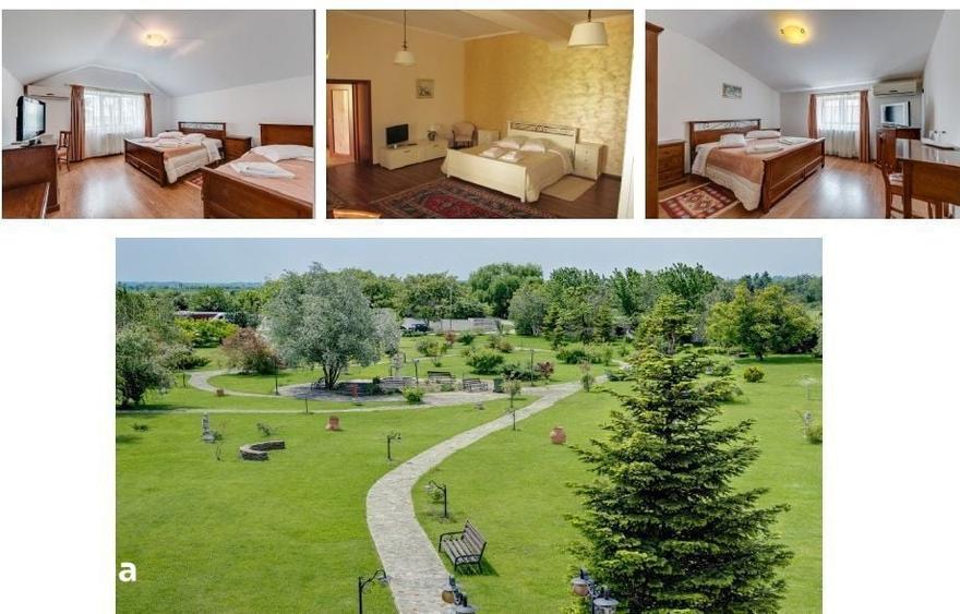 Hotel 5600 mp,teren 32600mp - 10